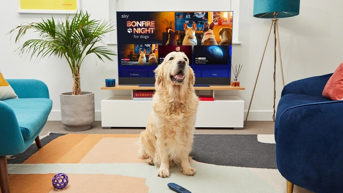 Sky has teamed up with Dogs Trust to launch the BonfireNight channel